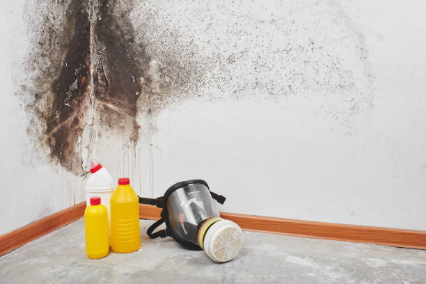 Best Certified Mold Removal  in Saunders Lake, OR