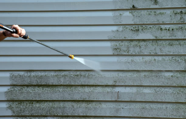 Professional Mold Removal in Saunders Lake, OR