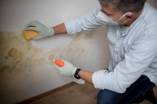 Best Mold Testing  in Saunders Lake, OR