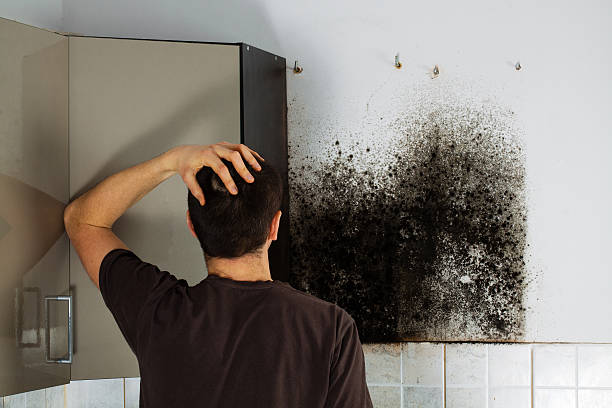 Best Residential Mold Removal  in Saunders Lake, OR